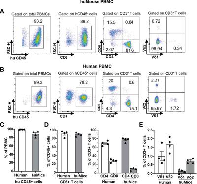 The BLT Humanized Mouse Model as a Tool for Studying Human Gamma Delta T Cell-HIV Interactions In Vivo